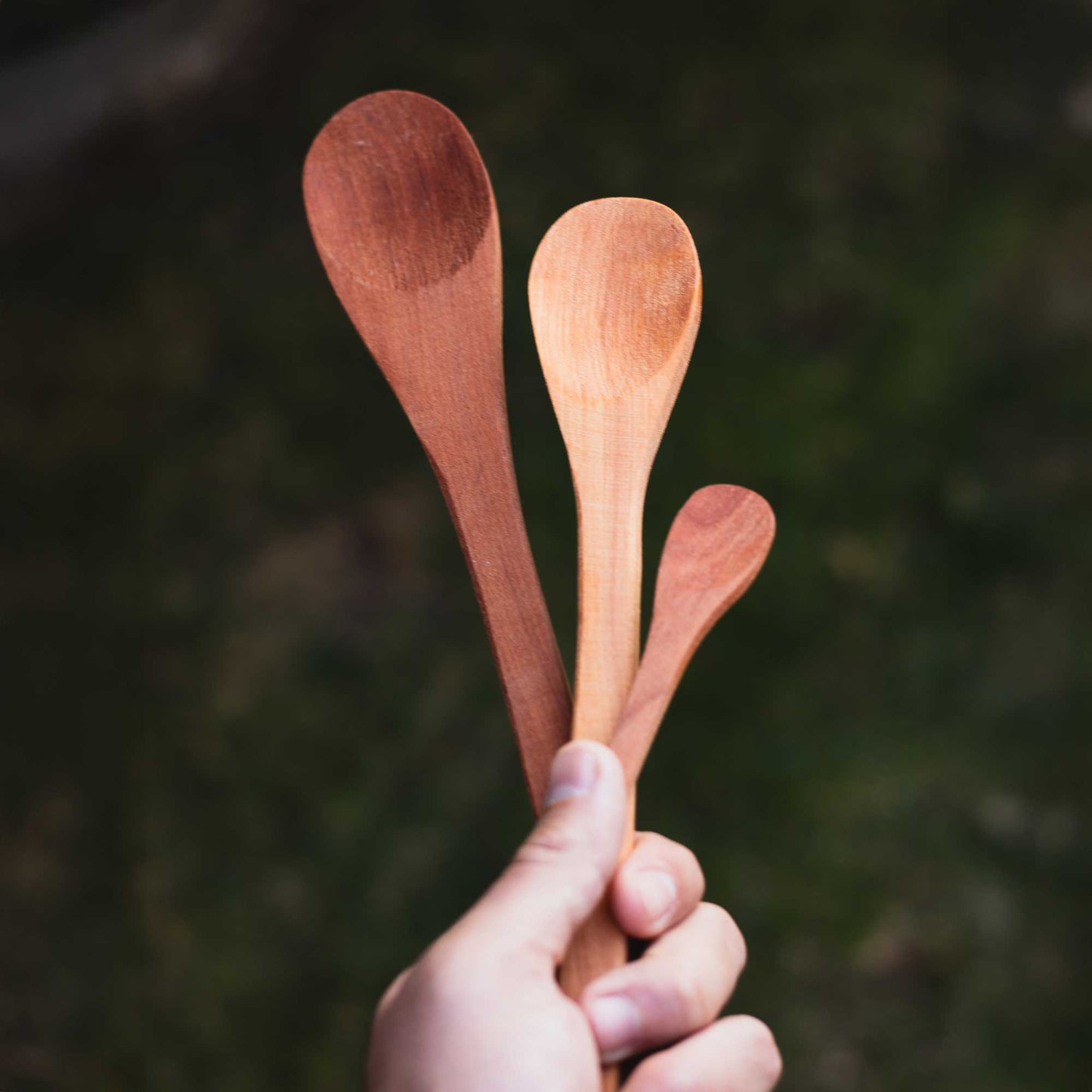 Set de Cucharas de Madera de Raulí (35, 25 y 10 cm)